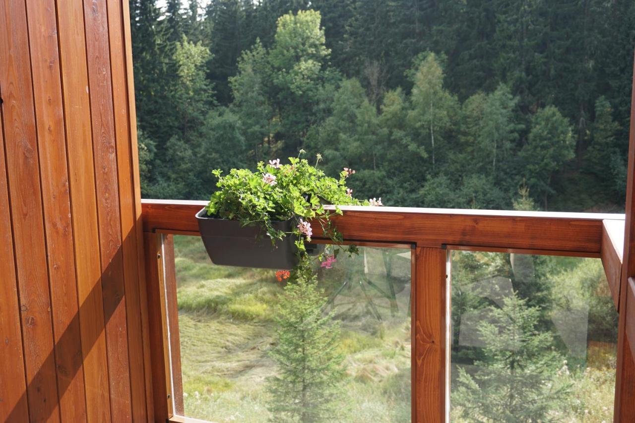 Jezirko Lesni Restaurant & Penzion Jáchymov Exterior photo