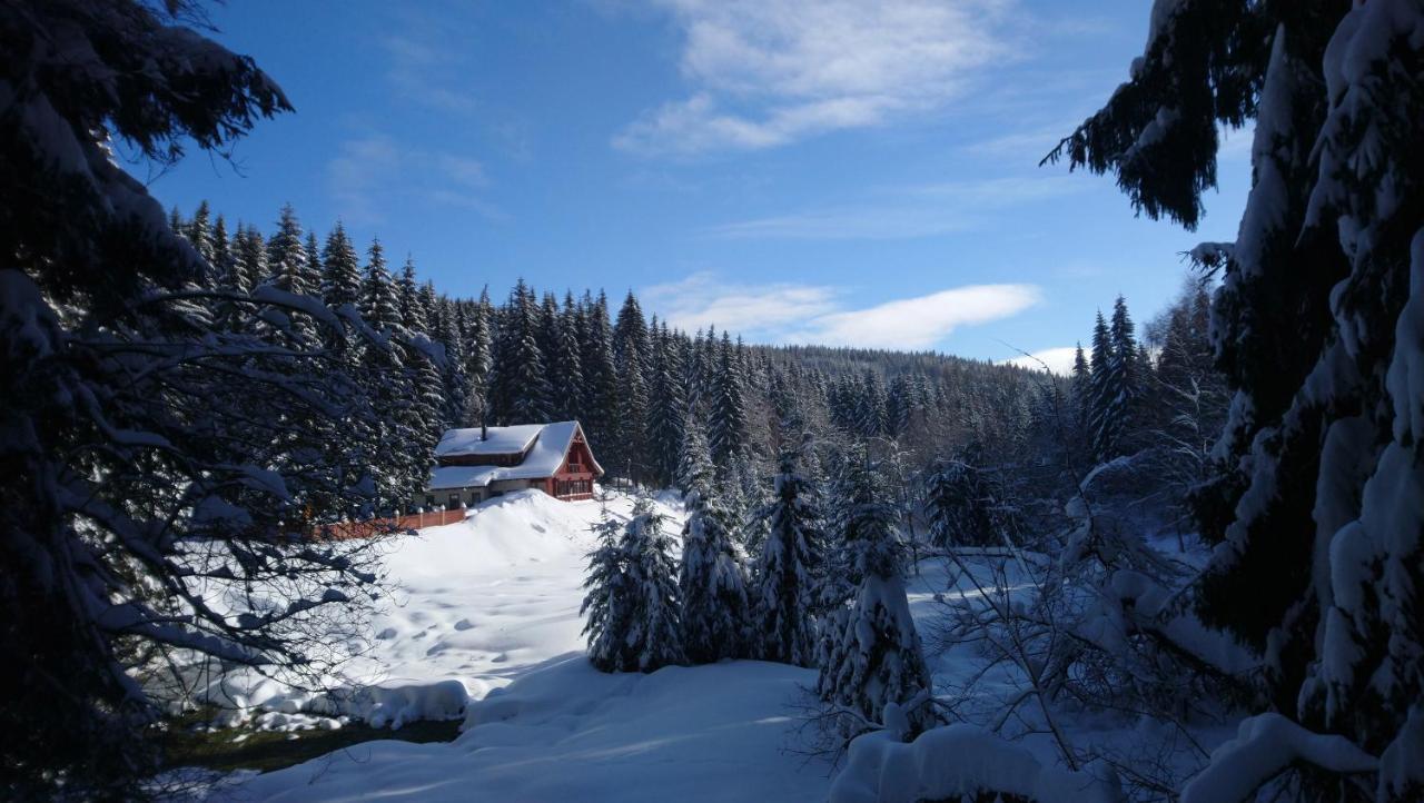 Jezirko Lesni Restaurant & Penzion Jáchymov Exterior photo